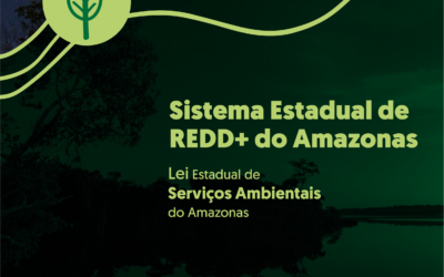 Sistema Estadual de REDD+ do Amazonas