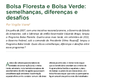 Soluções para a sustentabilidade na Amazônia – Bolsa floresta e bolsa verde: semelhanças, diferenças e desafios